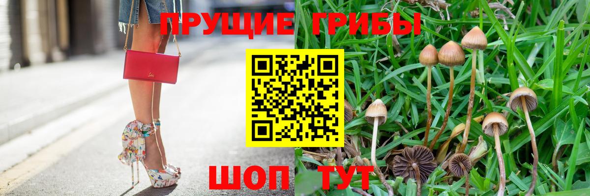 Псилоцибиновые грибы Cubensis  Вход с VPN  как найти закладки  Ахтубинск 